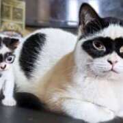 ヒメ日記 2025/02/22 13:04 投稿 みずき タレントCLUB