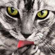 ヒメ日記 2025/02/26 16:11 投稿 みずき タレントCLUB