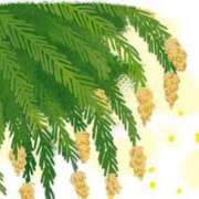 ヒメ日記 2025/03/13 02:47 投稿 みずき タレントCLUB