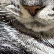 ヒメ日記 2025/03/13 19:19 投稿 みずき タレントCLUB