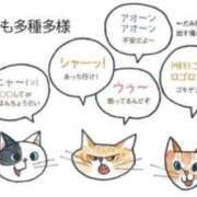 ヒメ日記 2025/03/14 02:53 投稿 みずき タレントCLUB