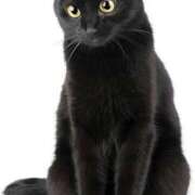 ヒメ日記 2025/03/20 02:54 投稿 みずき タレントCLUB