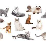 ヒメ日記 2025/03/21 03:19 投稿 みずき タレントCLUB