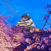 ヒメ日記 2025/04/05 00:45 投稿 みずき タレントCLUB