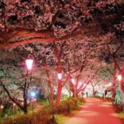 ヒメ日記 2025/04/07 21:17 投稿 みずき タレントCLUB