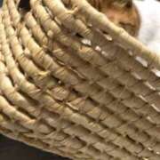 ヒメ日記 2025/06/08 16:36 投稿 みずき タレントCLUB