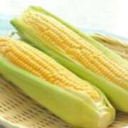 ヒメ日記 2025/06/22 16:29 投稿 みずき タレントCLUB