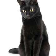 ヒメ日記 2025/08/17 23:55 投稿 みずき タレントCLUB