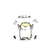 ヒメ日記 2025/08/23 00:14 投稿 みずき タレントCLUB