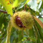 ヒメ日記 2025/10/09 15:19 投稿 みずき タレントCLUB