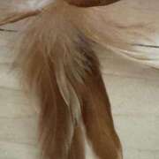 ヒメ日記 2025/12/21 15:47 投稿 みずき タレントCLUB