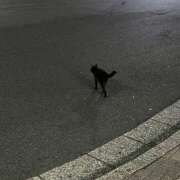 ヒメ日記 2026/09/30 16:46 投稿 ほなみ 奥様はエンジェル　八王子店
