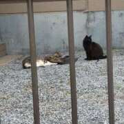 ヒメ日記 2026/09/18 11:25 投稿 かおる 千葉松戸ちゃんこ