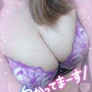 ヒメ日記 2026/09/14 15:10 投稿 ちはや Mirage(渋谷)