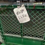ヒメ日記 2026/08/18 10:11 投稿 るり とある風俗店♡やりすぎさーくる新宿大久保店♡で色んな無料オプションしてみました