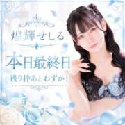煌輝せしる 🩵🈳枠残り僅か🩵 ニューハーフヘルスSURPRISE ONE日本橋店