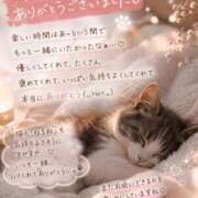 猫ねるね 楽しい時間😌 ウルトラハピネス