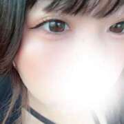 ヒメ日記 2026/09/13 15:44 投稿 猫ねるね ウルトラハピネス