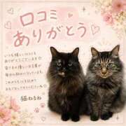 ヒメ日記 2026/09/14 22:09 投稿 猫ねるね ウルトラハピネス