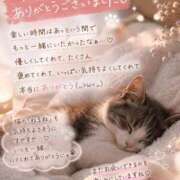 ヒメ日記 2026/09/17 23:14 投稿 猫ねるね ウルトラハピネス