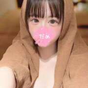 ヒメ日記 2026/08/11 14:02 投稿 みみ JAPAN CLUB BUNNY LOUNGE