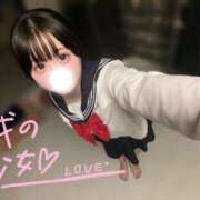 みみ ♡あと2日♡ JAPAN CLUB BUNNY LOUNGE