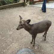 吉瀬みちこ おつかれさまです クラブレア南大阪