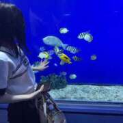 ヒメ日記 2026/08/17 22:02 投稿 のの JAPAN CLUB BUNNY LOUNGE