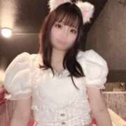 ヒメ日記 2026/08/19 22:03 投稿 のの JAPAN CLUB BUNNY LOUNGE