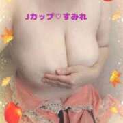 すみれ 出勤しました！ One More 奥様　西船橋店