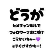 ヒメ日記 2026/09/19 21:32 投稿 りりす 桃李（とうり）