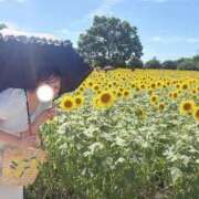 撫子【ナデシコ】 8月の出勤🌻 ピンクコレクション大阪