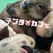 ヒメ日記 2026/08/14 14:55 投稿 はづき 大宮人妻デリヘル～大人の事情～