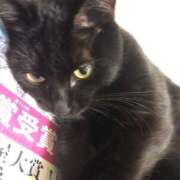 ヒメ日記 2026/09/07 13:10 投稿 高峰のどか(たかみねのどか) 五十路マダムエクスプレス厚木店(カサブランカグループ)