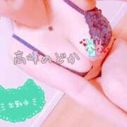 ヒメ日記 2026/09/21 12:38 投稿 高峰のどか(たかみねのどか) 五十路マダムエクスプレス厚木店(カサブランカグループ)