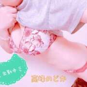 ヒメ日記 2026/10/19 10:08 投稿 高峰のどか(たかみねのどか) 五十路マダムエクスプレス厚木店(カサブランカグループ)