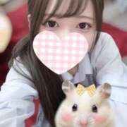 ☆アリエル☆ 実は…🤫 Kiseki