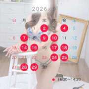 ヒメ日記 2026/09/21 10:36 投稿 杏【あんず】 BLENDA V.I.P東京店