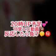 ヒメ日記 2026/10/06 15:24 投稿 杏【あんず】 BLENDA V.I.P東京店