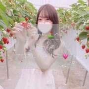ヒメ日記 2026/09/07 01:50 投稿 ここみ オトナのエフルラージュ
