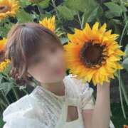 ヒメ日記 2026/09/03 00:32 投稿 まり【細身でEカップ美女!!】 エフルラージュ