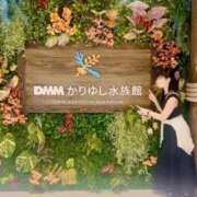ヒメ日記 2026/08/21 12:22 投稿 みきな【一目惚れ確定美女!!】 エフルラージュ