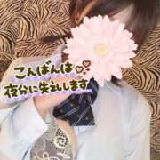 ヒメ日記 2026/09/18 23:33 投稿 あいこ【即、沼落ち確定美女♡】 エフルラージュ錦