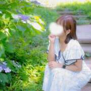 ヒメ日記 2026/08/15 06:04 投稿 しの【とろけてしまう官能!!】 エフルラージュ伏見