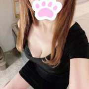 ヒメ日記 2026/08/13 05:32 投稿 なお【照れ屋なモデル級美女】 エフルラージュ