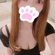 ヒメ日記 2026/08/20 02:02 投稿 なお【照れ屋なモデル級美女】 エフルラージュ