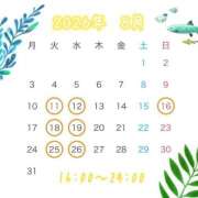ヒメ日記 2026/08/08 11:30 投稿 Mikoto Hanabusa ELEGANT－エレガント－