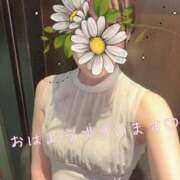 ヒメ日記 2026/08/10 07:28 投稿 Mikoto Hanabusa ELEGANT－エレガント－