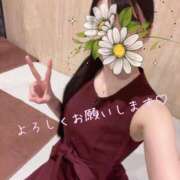 Mikoto Hanabusa 本日16時〜 ELEGANT－エレガント－
