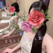 ヒメ日記 2026/09/01 08:41 投稿 Mikoto Hanabusa ELEGANT－エレガント－